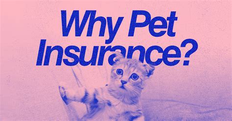 Why pet insurance